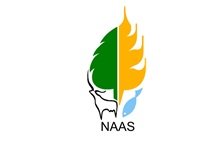 naas